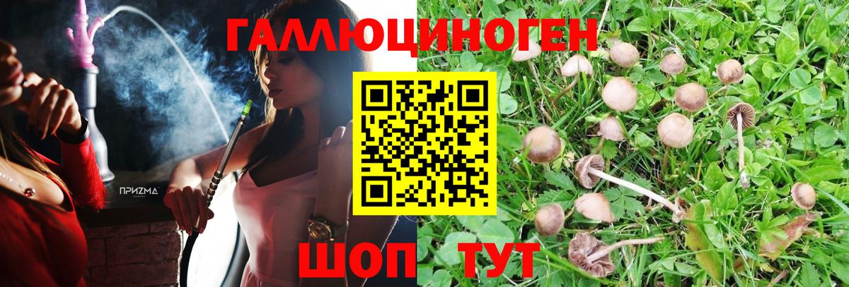 Псилоцибиновые грибы мицелий Тверь