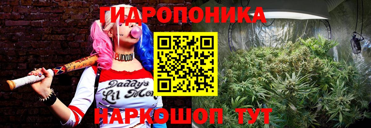 МАРИХУАНА White Widow  Шишки марихуана гибрид  Вход с VPN  Тверь  Марихуана MAZAR 